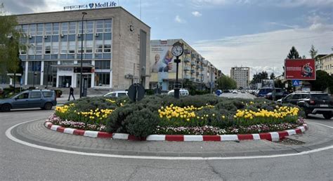 Municipiul Deva 24/24